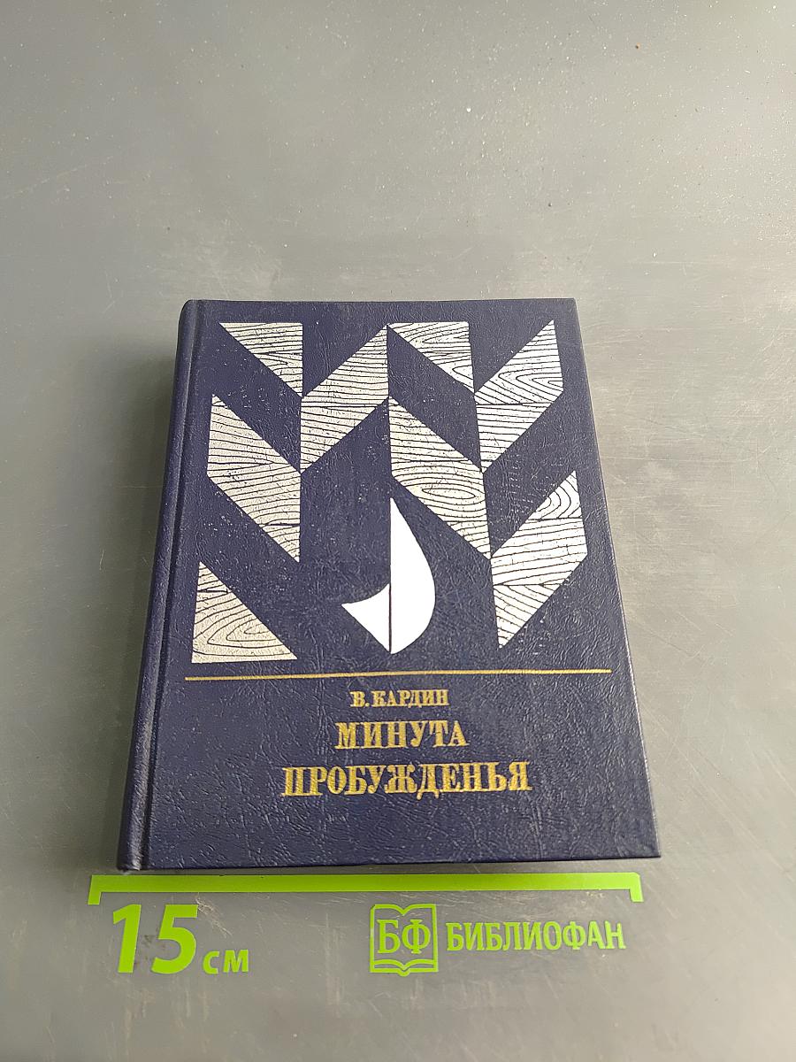 Минута пробужденья