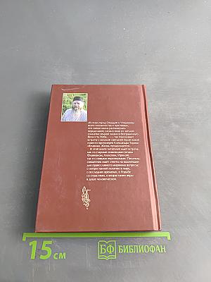 Флавиан. Жизнь продолжается