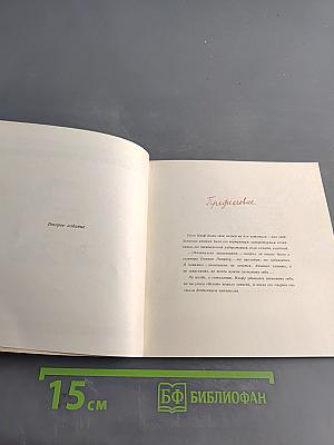 Из записных книжек