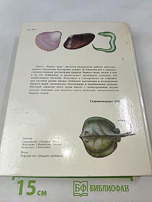 Черное море