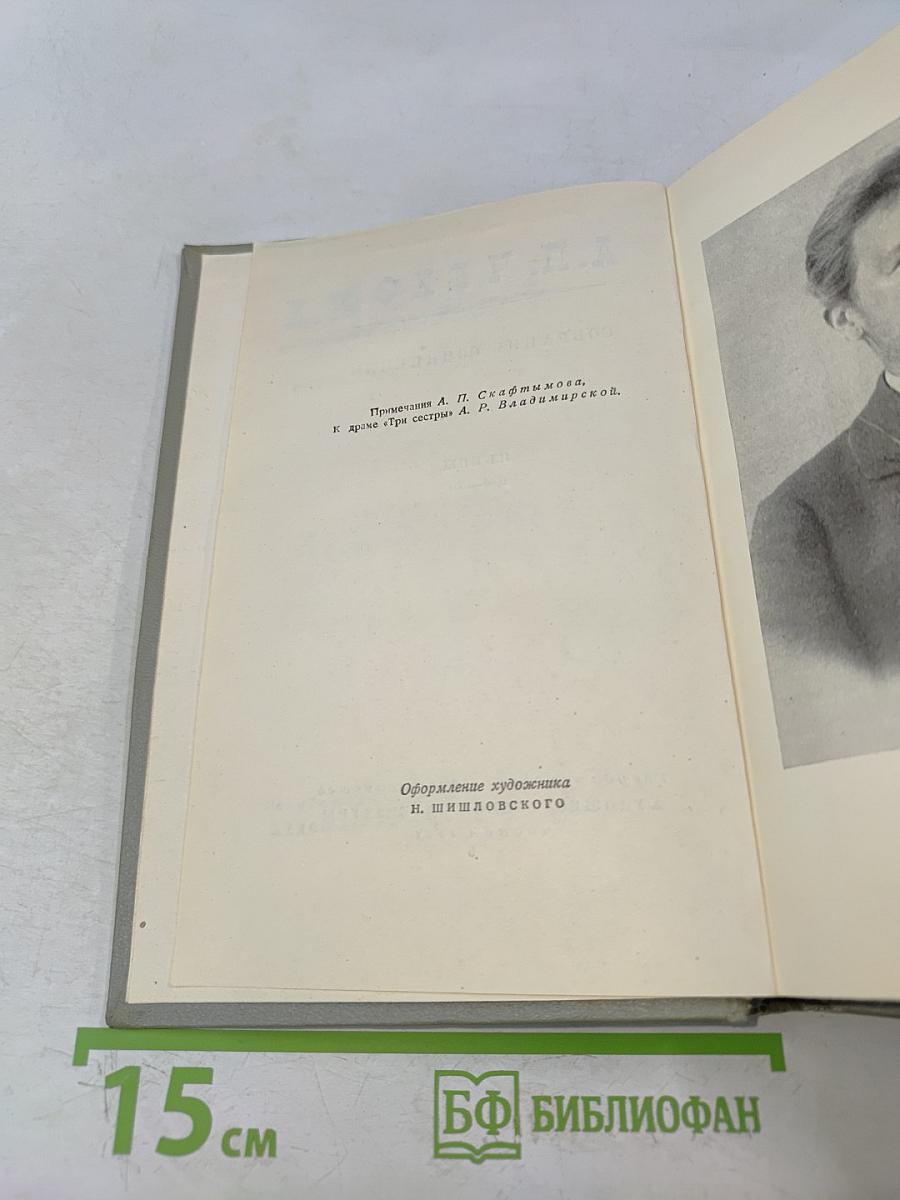 Собрание сочинений. Том десятый. Пьесы 1880-1904
