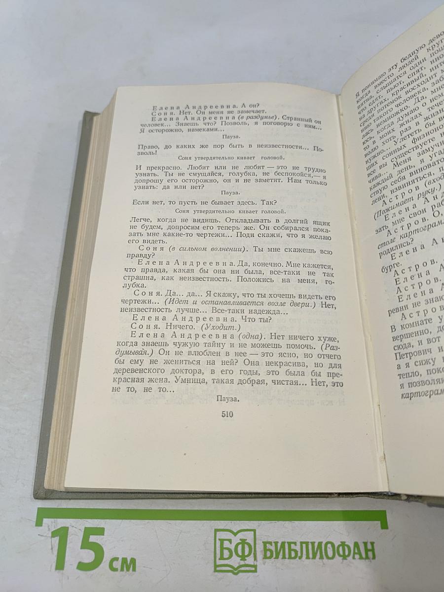Собрание сочинений. Том десятый. Пьесы 1880-1904