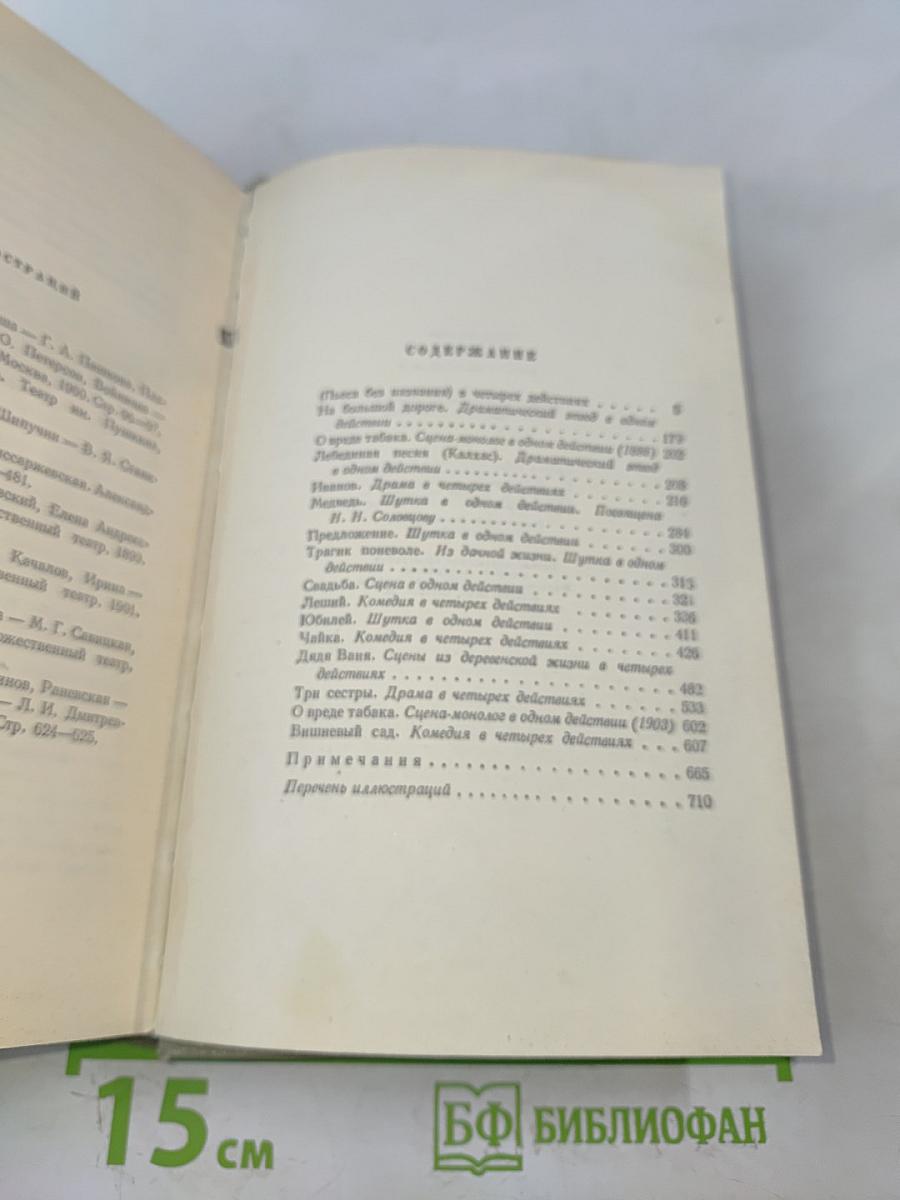 Собрание сочинений. Том десятый. Пьесы 1880-1904