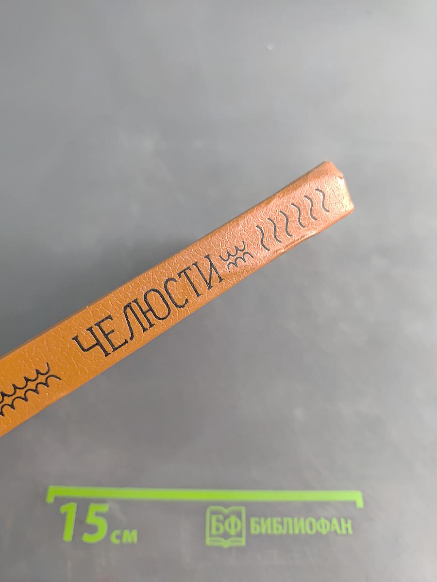 Челюсти