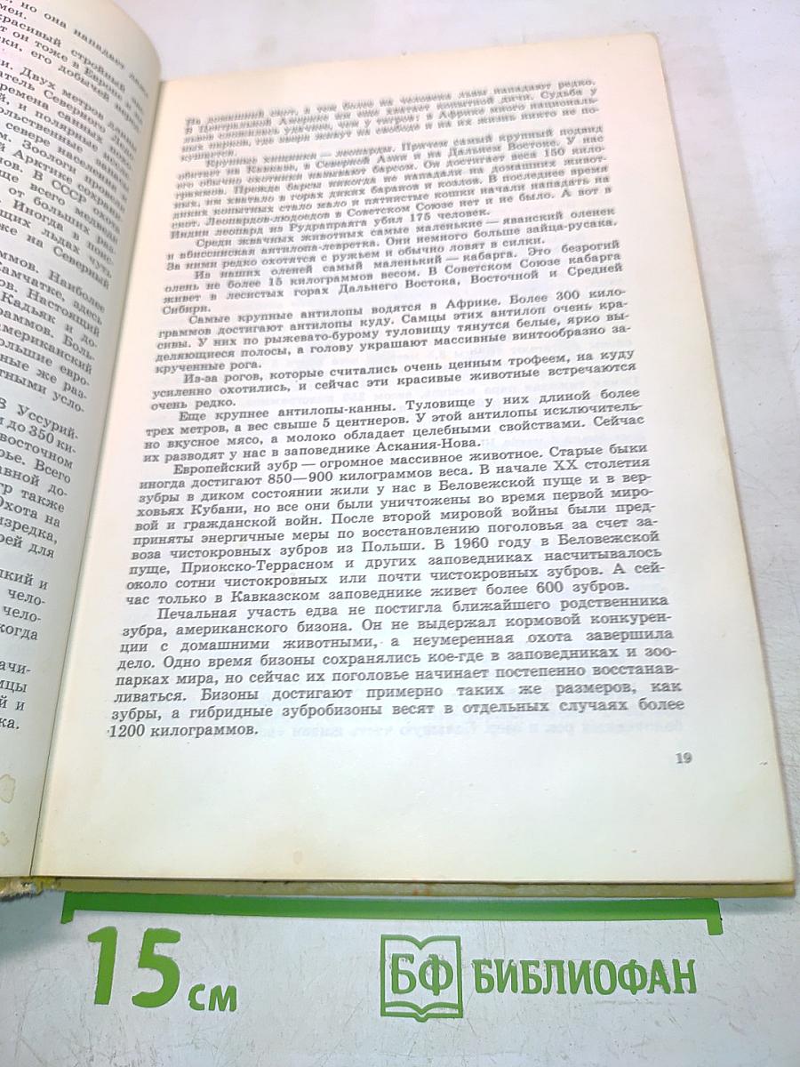 Занимательная зоология