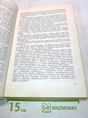 Занимательная зоология