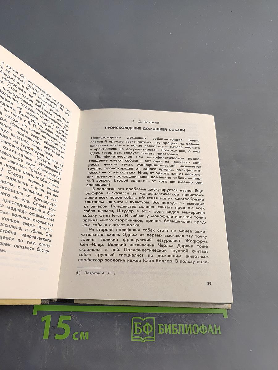 О чем лают собаки