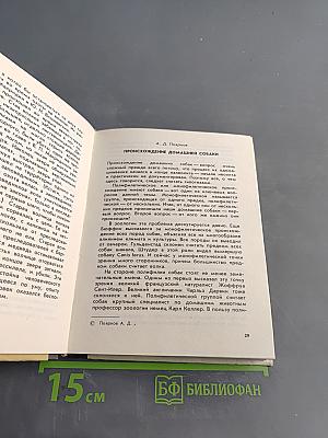 О чем лают собаки