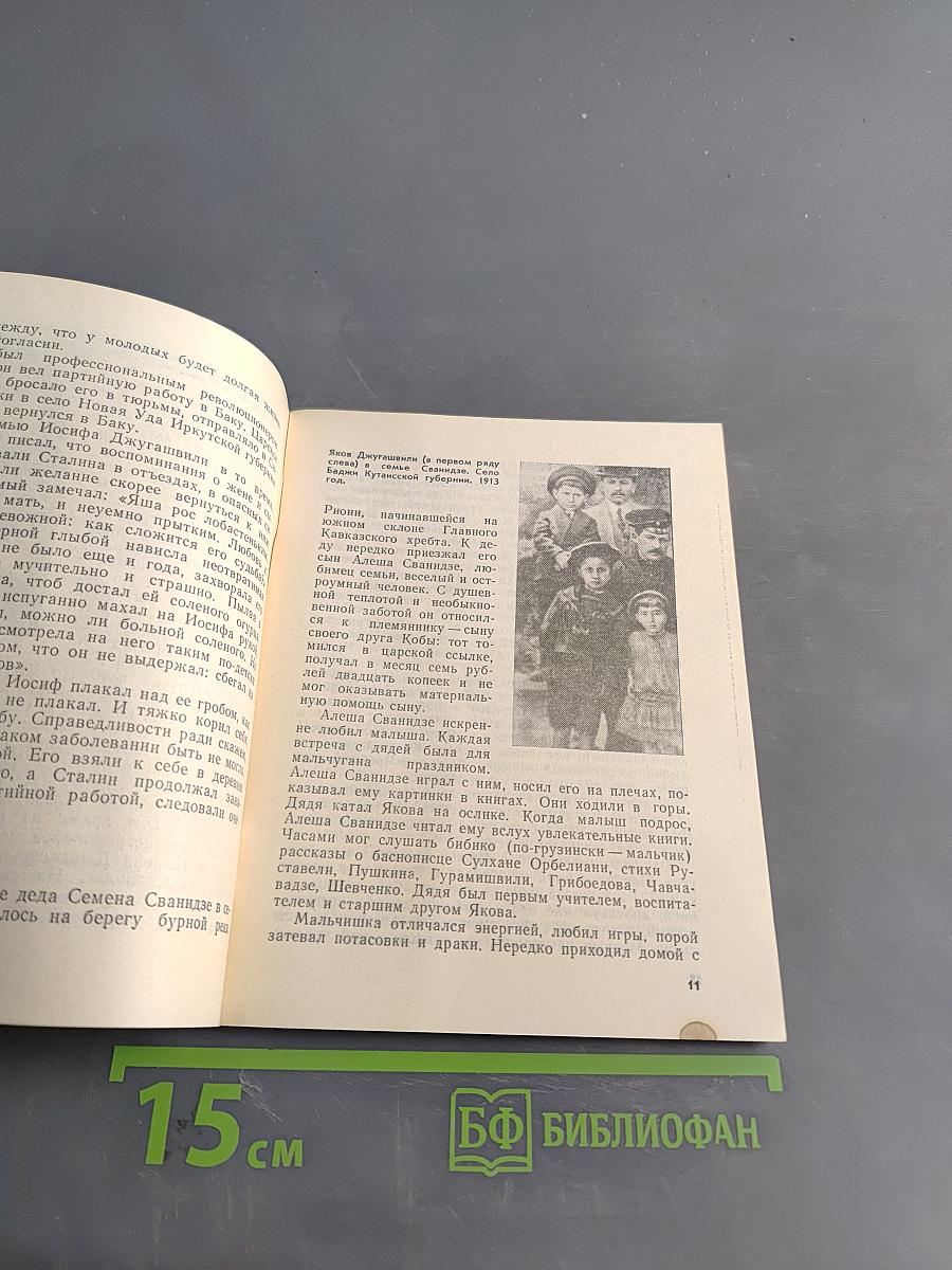 Сын Сталина. Жизнь и гибель Якова Джугашвили