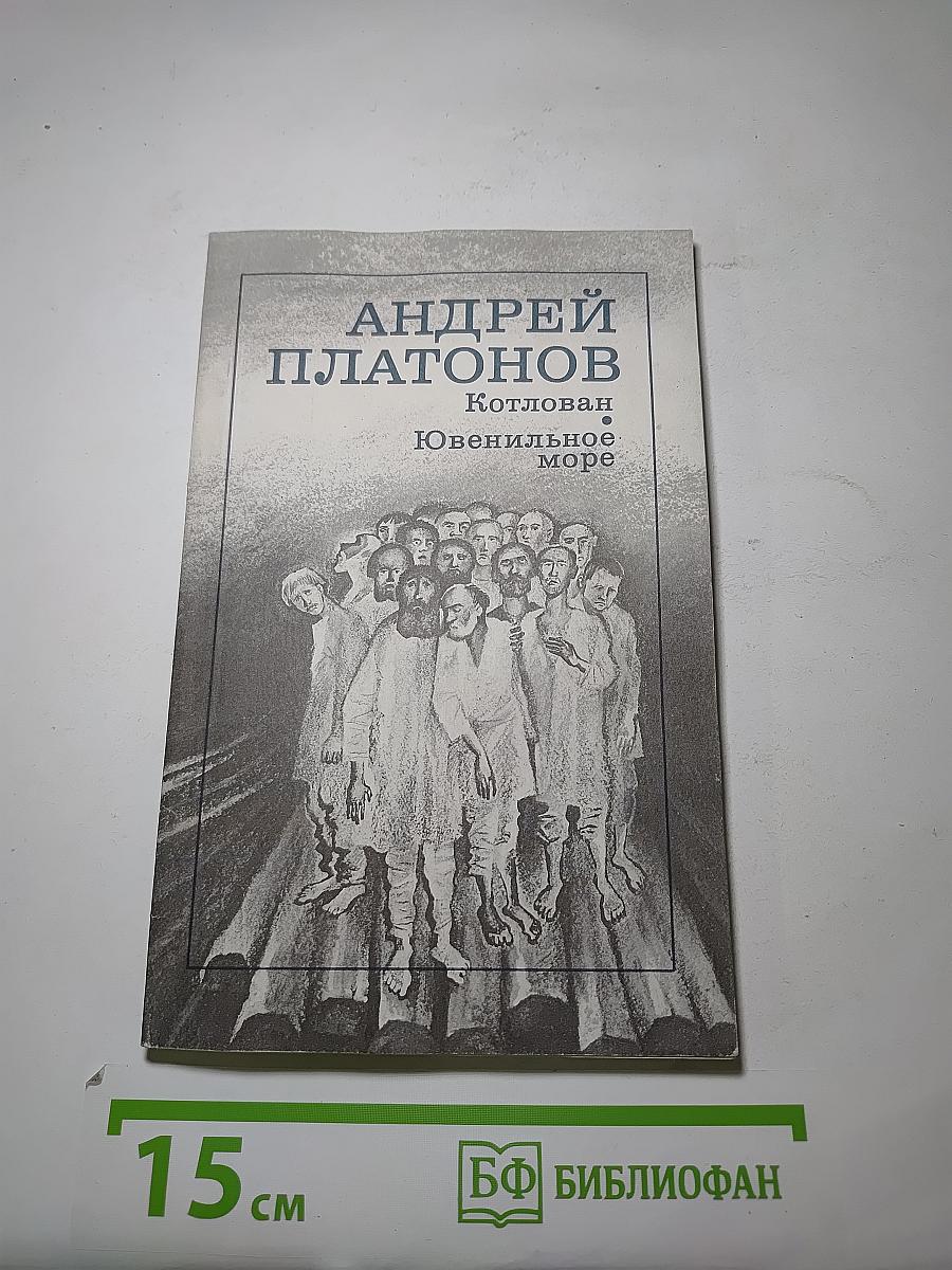 Котлован. Ювенильное море