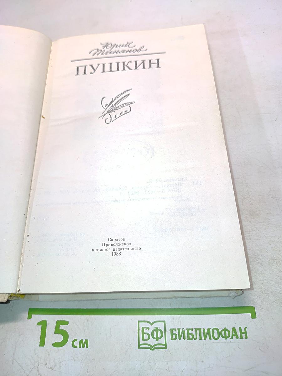 Пушкин