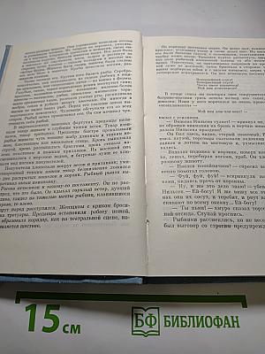 Похищение Европы, Санаторий Арктур