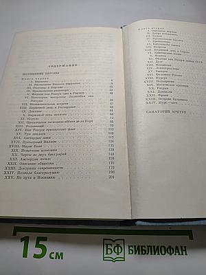 Похищение Европы, Санаторий Арктур