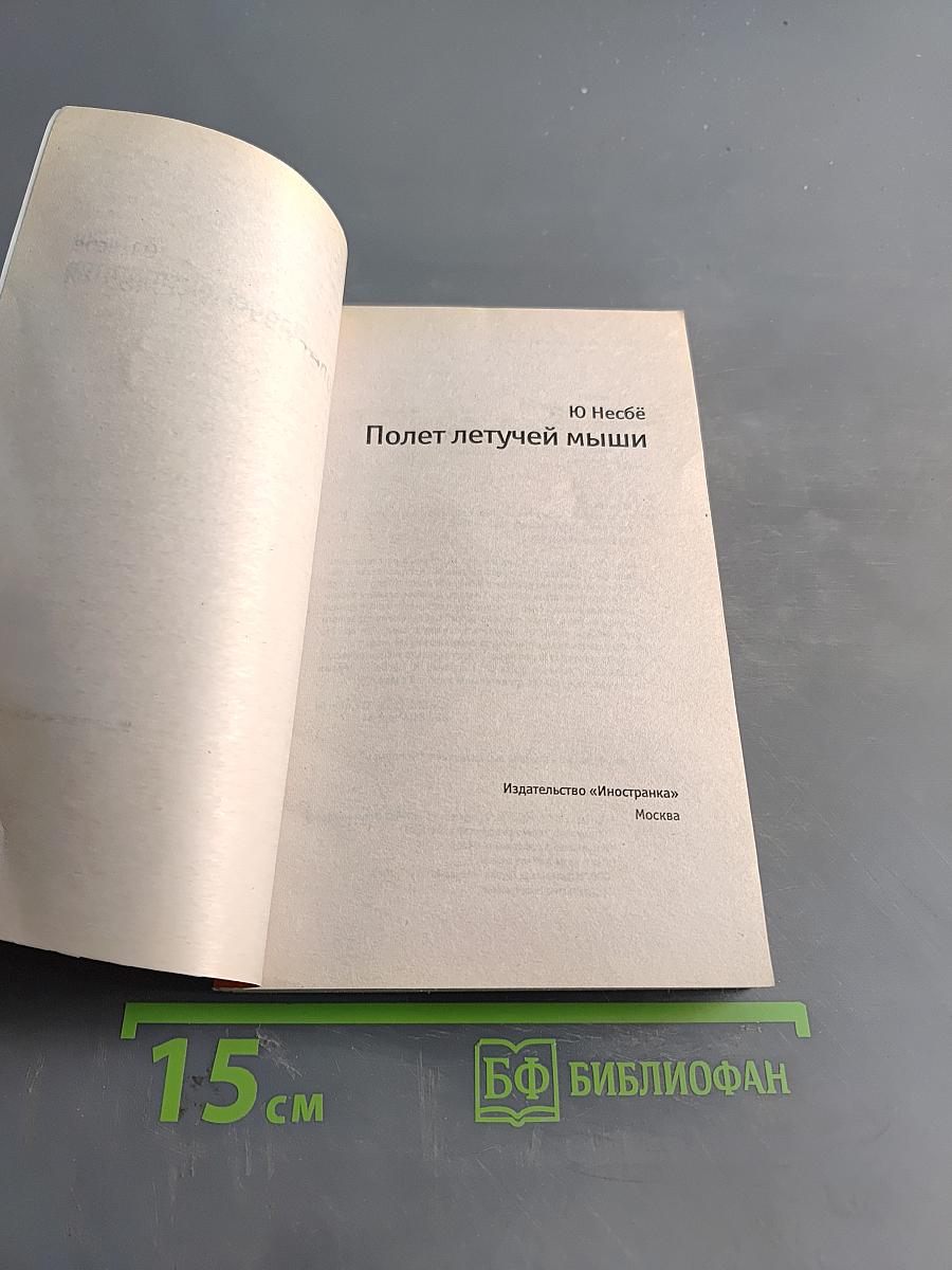 Полет летучей мыши