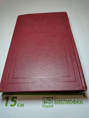 Собрание сочинений. Том тринадцатый. Публицистика (1917-1939)