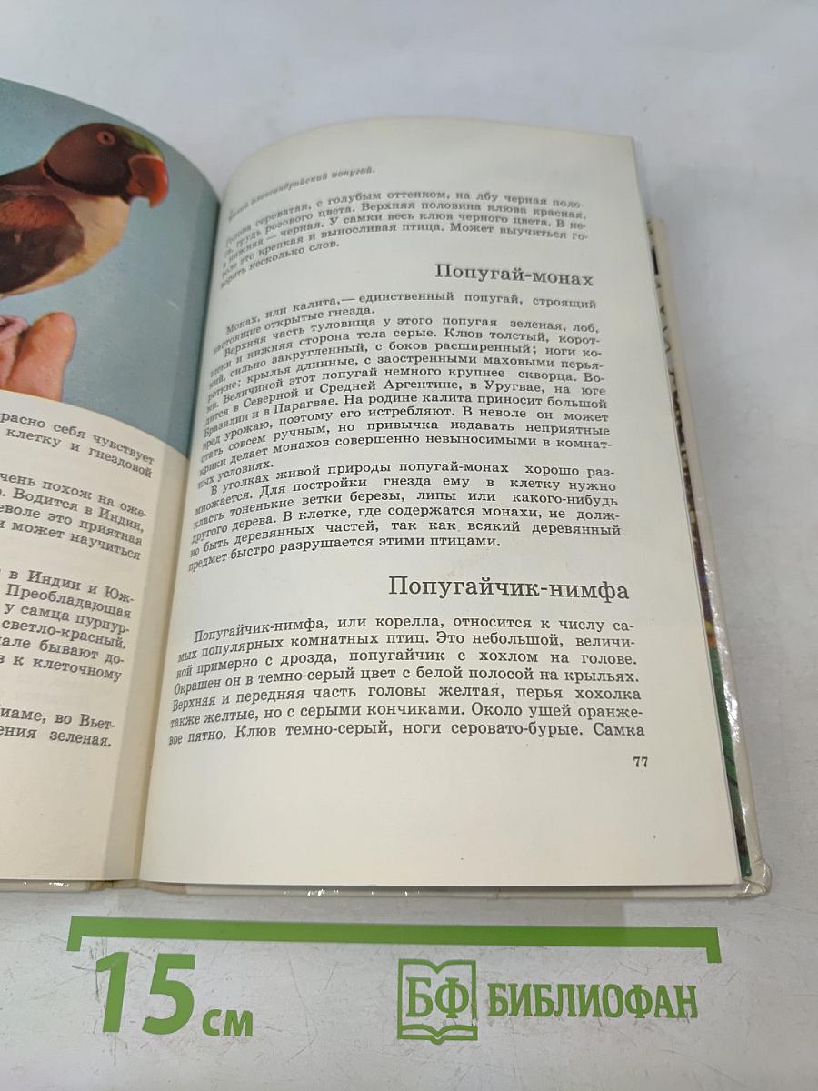 Птицы в уголке живой природы