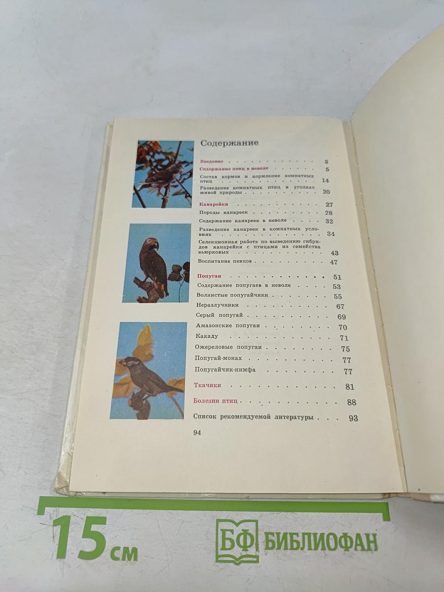 Птицы в уголке живой природы