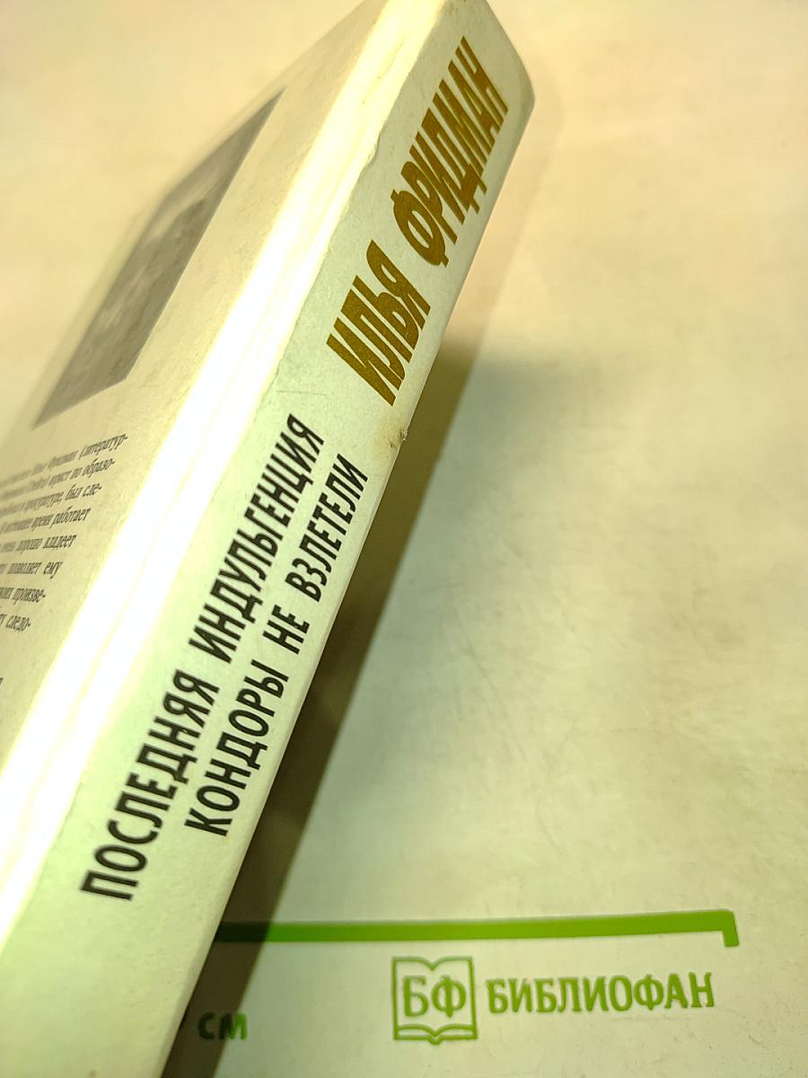 Последняя индульгенция. Кондоры не взлетели