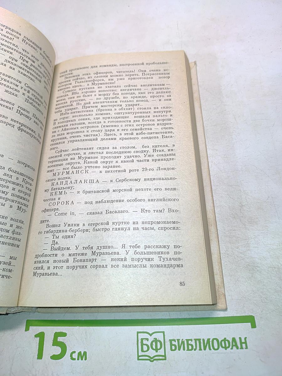 Из тупика. Кровь на снегу. Книга вторая