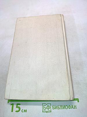 Из тупика. Кровь на снегу. Книга вторая