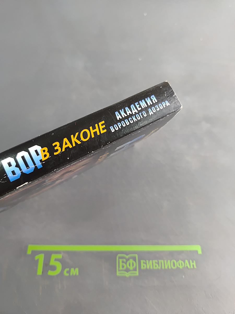 Я - вор в законе. Академия воровского дозора