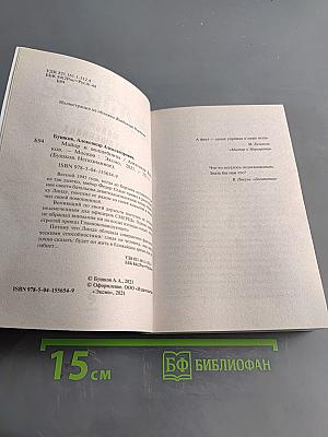 Майор и волшебница
