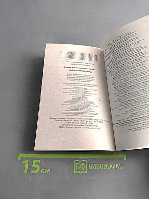 Майор и волшебница