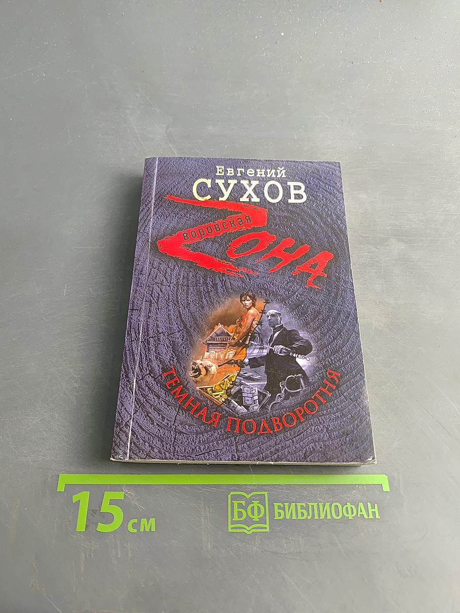 Темная подворотня. Воровская зона