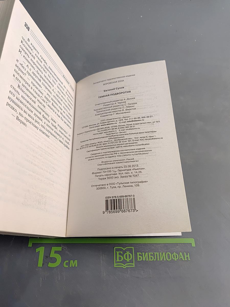 Темная подворотня. Воровская зона