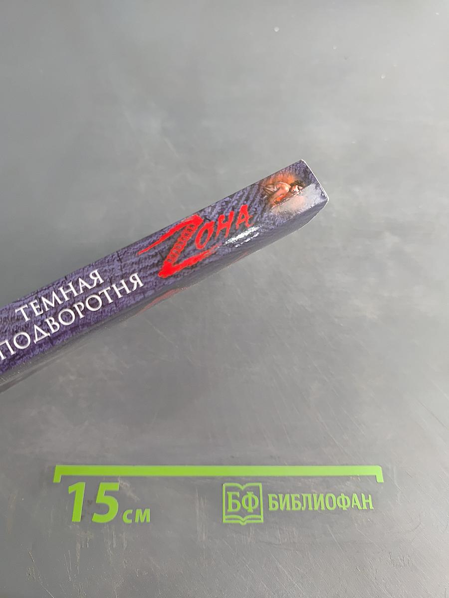 Темная подворотня. Воровская зона