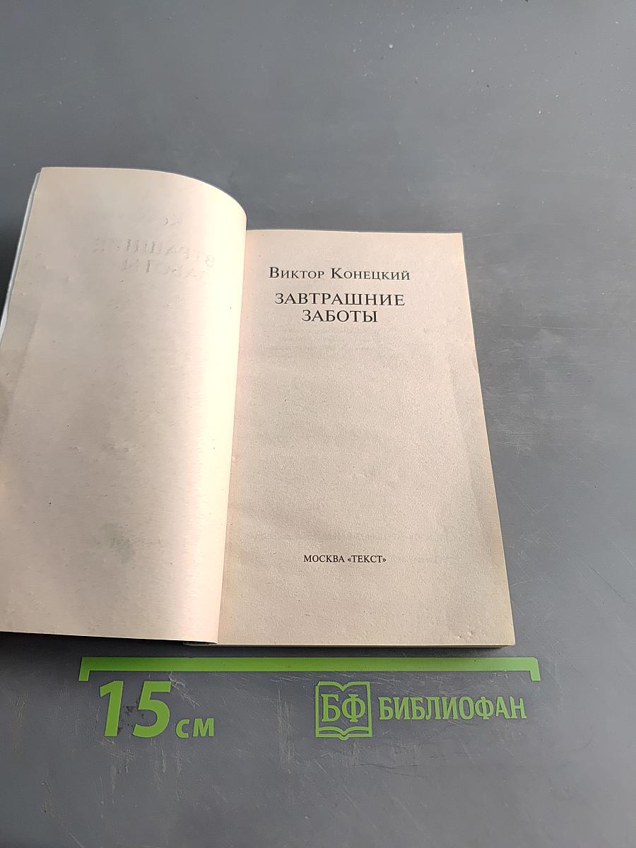 Завтрашние заботы