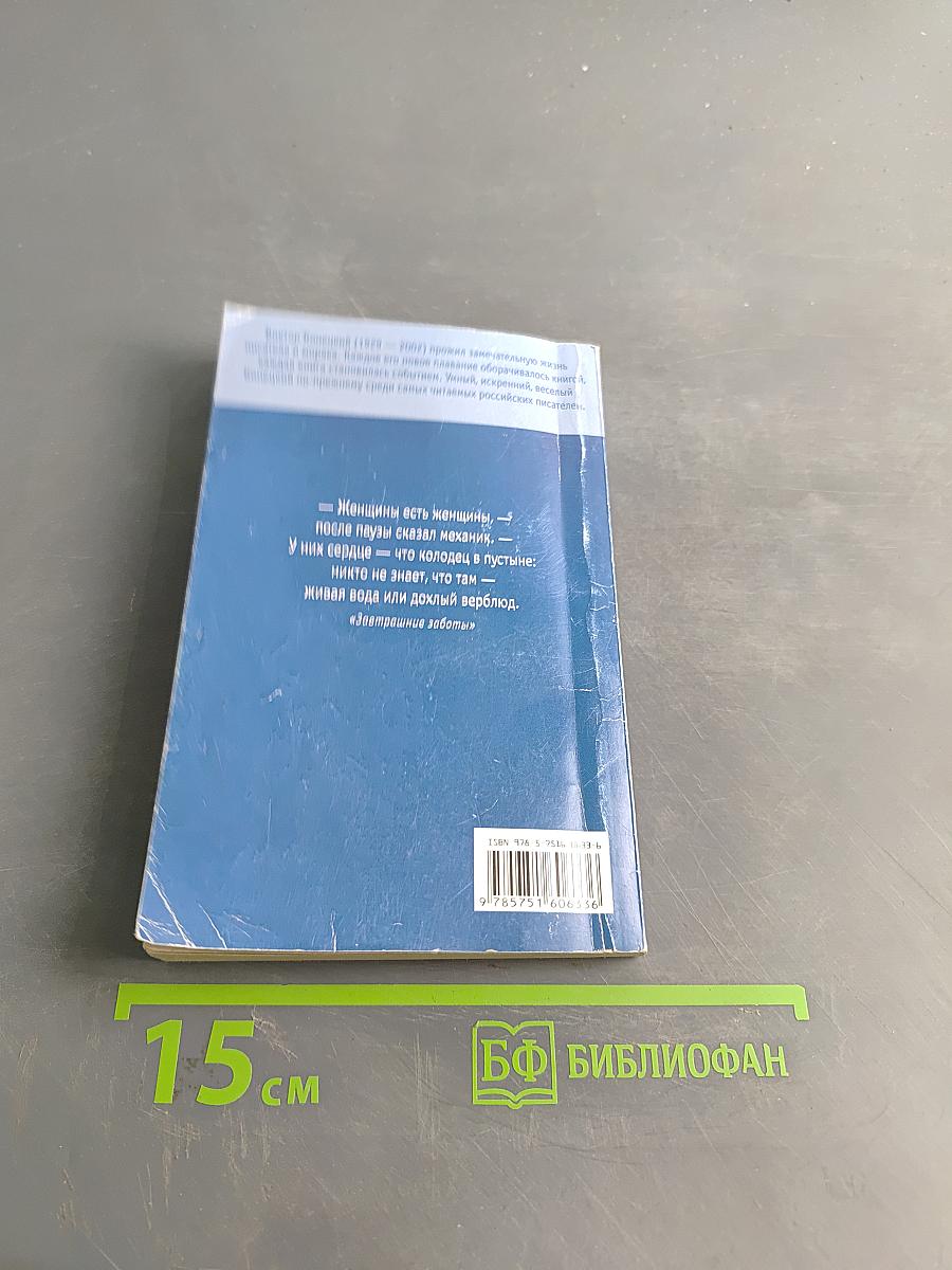 Завтрашние заботы