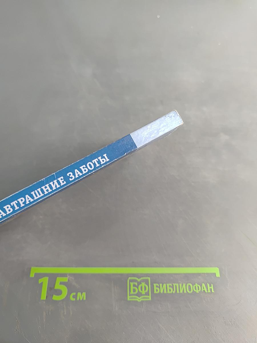 Завтрашние заботы