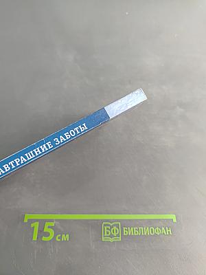 Завтрашние заботы
