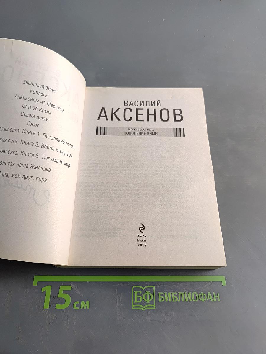 Поколение зимы. Московская сага