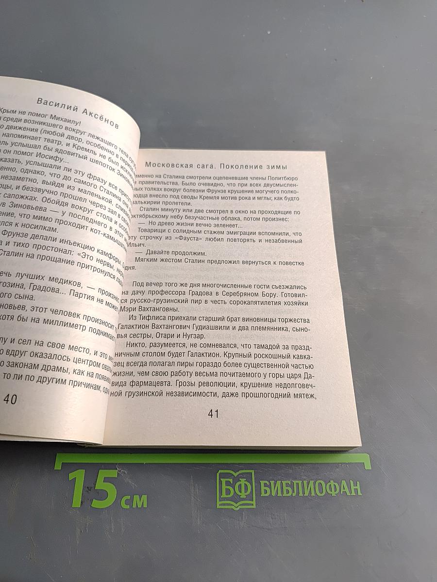 Поколение зимы. Московская сага
