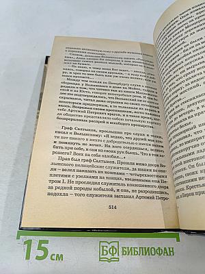 Волынский. Кабинет-министр Артемий Волынский