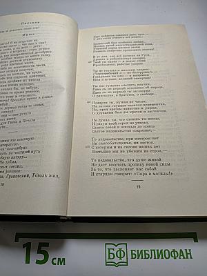 Полное собрание сочинений в пятнадцати томах. Том 3. Стихотворения 1866-1877 гг.