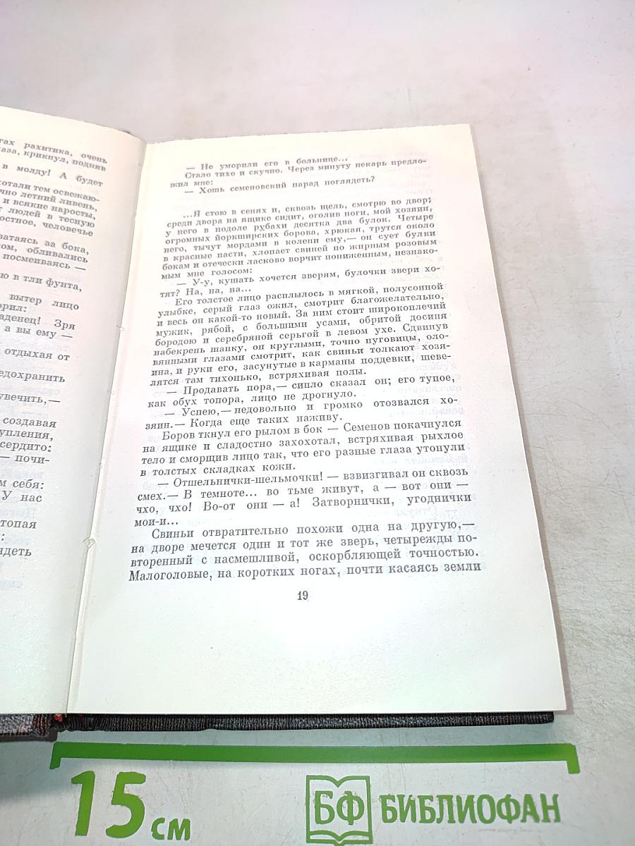 Собрание сочинений. Том четырнадцатый. Повести. Рассказы. 1912-1917