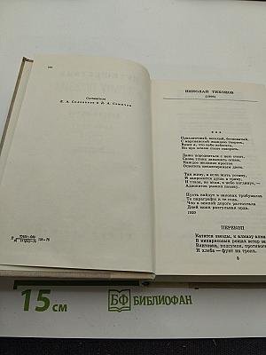 Путешествие в страну Поэзия. Поэзия-школе. Книга 2
