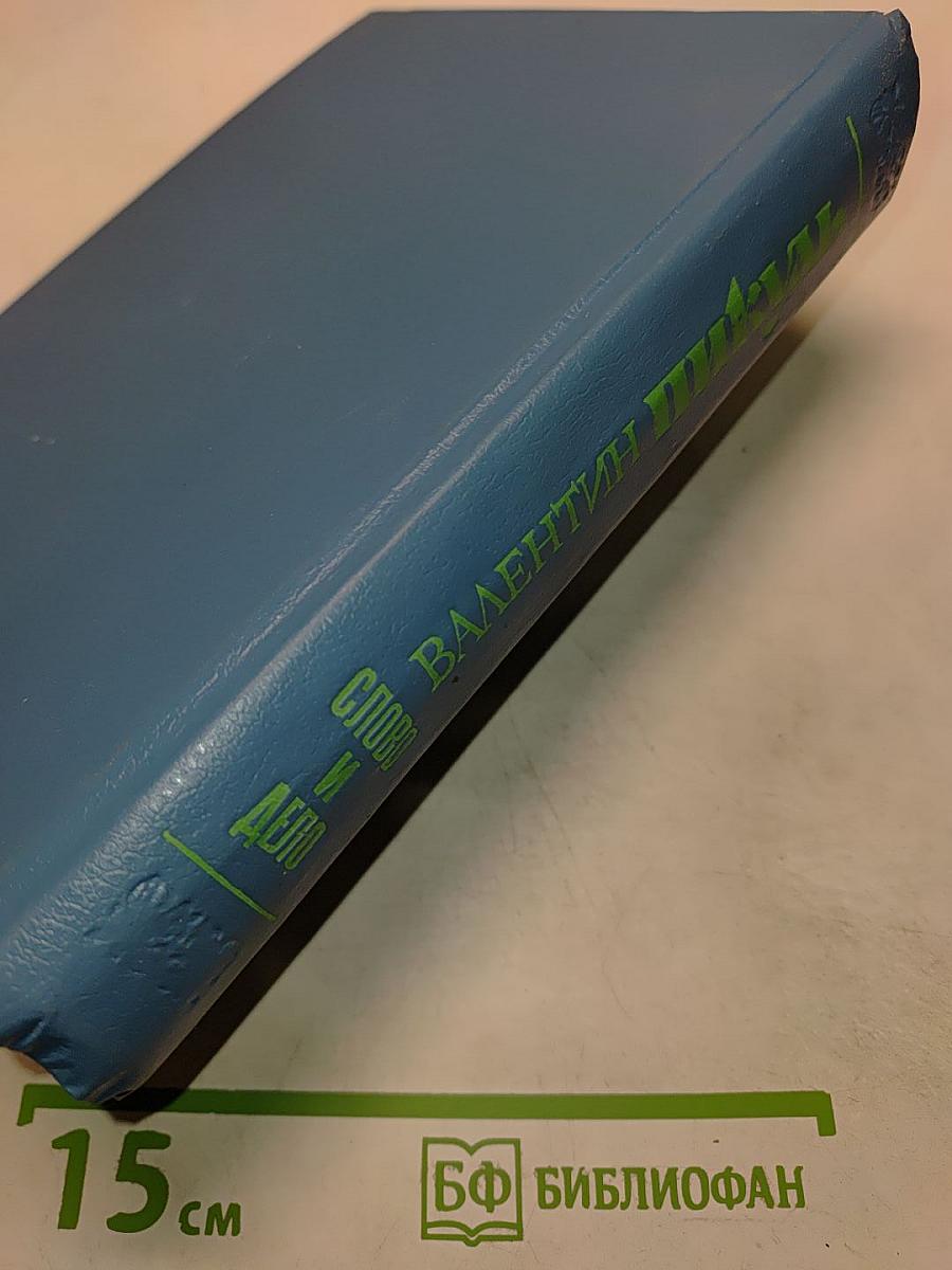 Слово и дело. Книга вторая. Мои любезные конфиденты