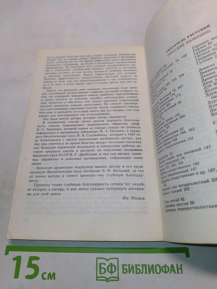 Лекарственные растения и способы их применения в народе