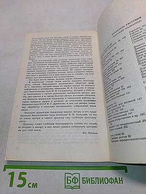 Лекарственные растения и способы их применения в народе