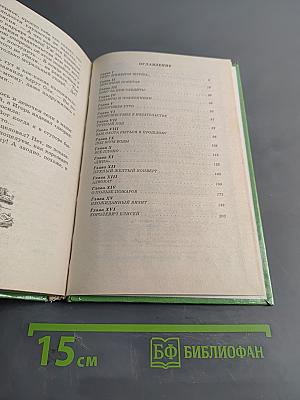 Кто украл роман?