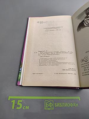 Блин и неуловимые киллеры