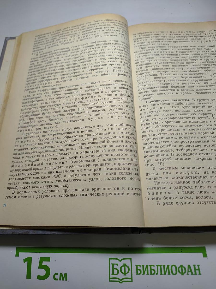 Патология