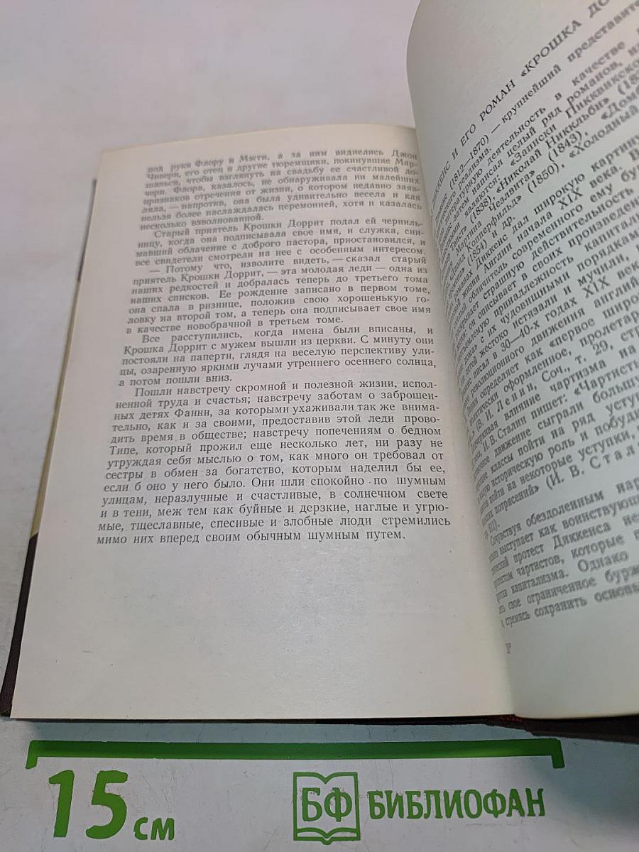 Крошка Доррит. Книга вторая. Богатство