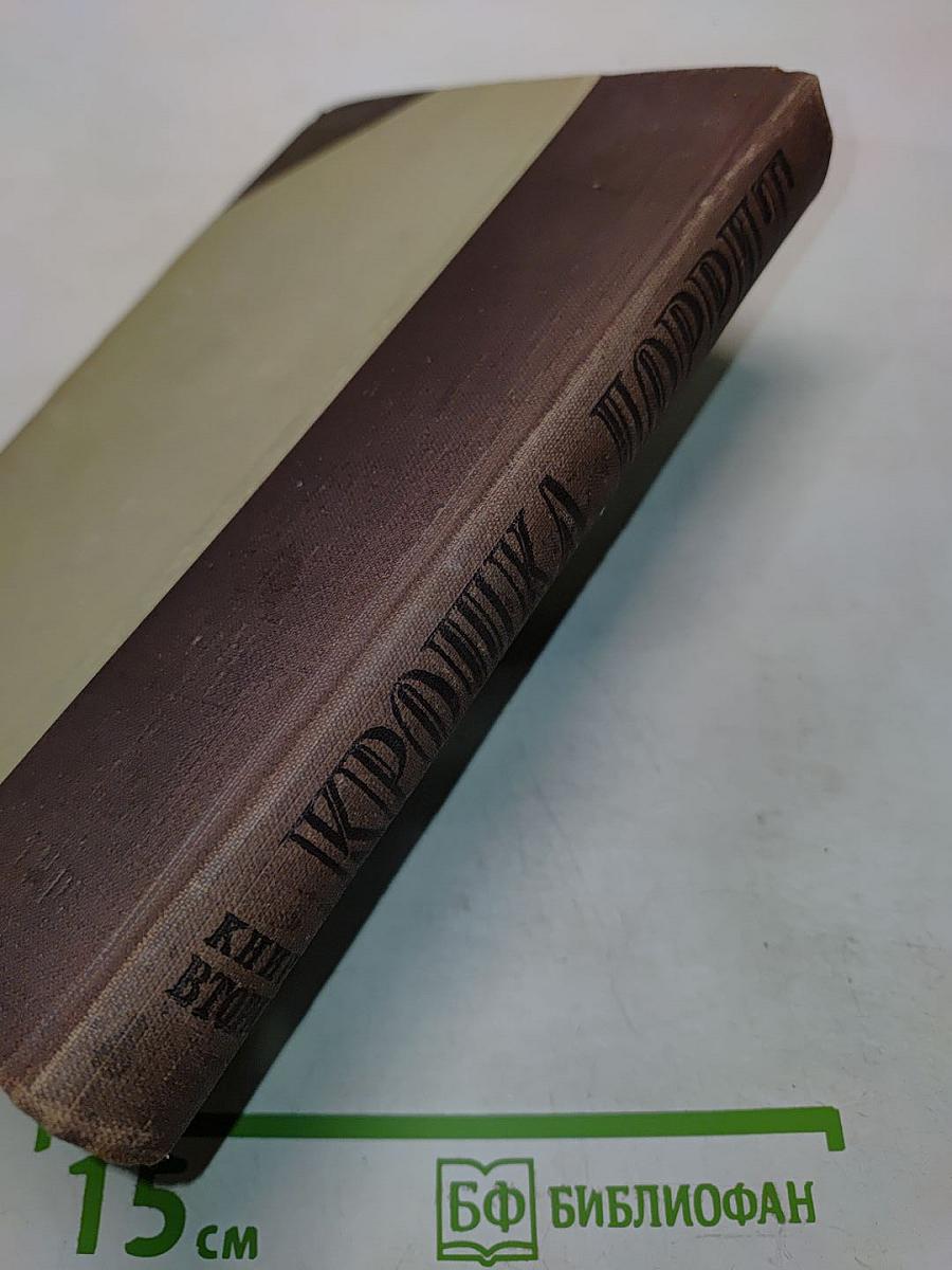 Крошка Доррит. Книга вторая. Богатство