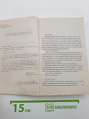 Большая игра
