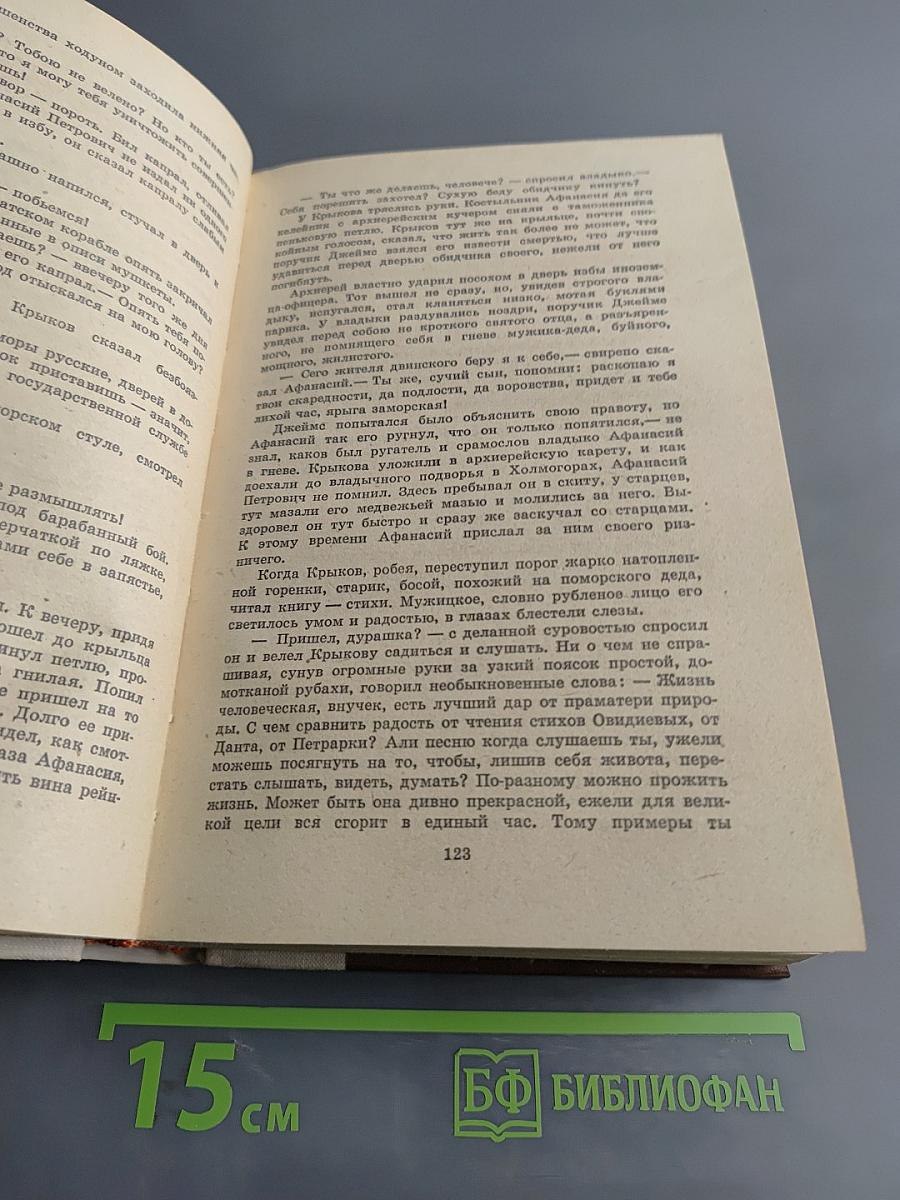 Россия молодая. Исторический роман. Книга первая
